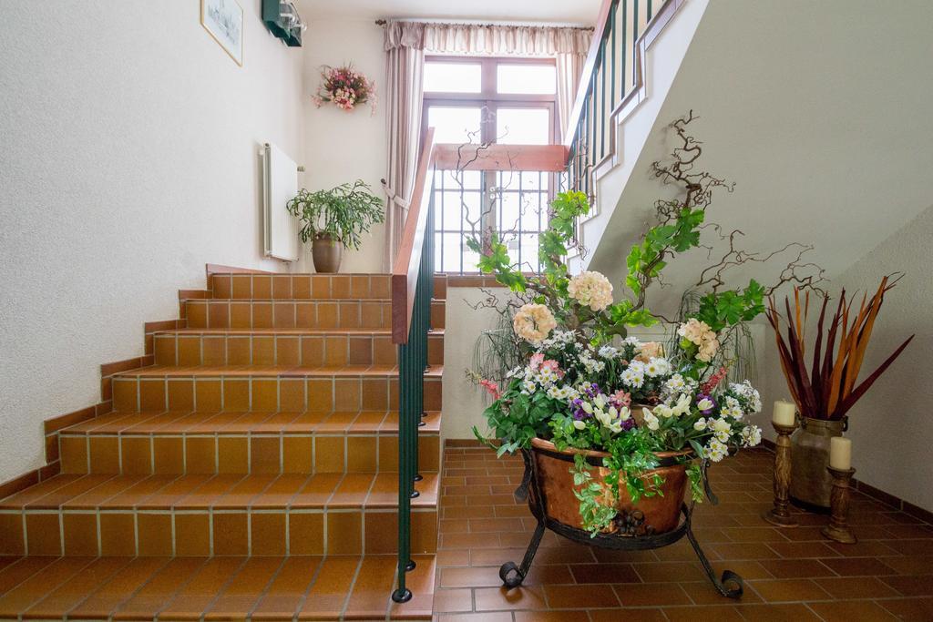 Hotel Am Lingelbach Knüllwald Exteriör bild