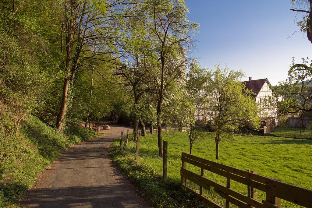 Hotel Am Lingelbach Knüllwald Exteriör bild